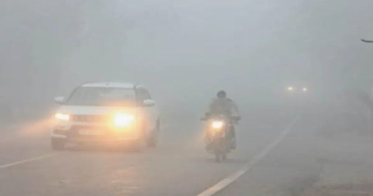 Visibility Drops Below 50 Metres as Dense Fog Brings Gurugram to A Crawl