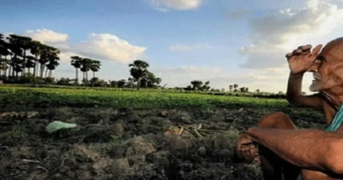 Karnataka Records 2,809 Farmer Suicides In 3 Years, State Cites Declining Trend