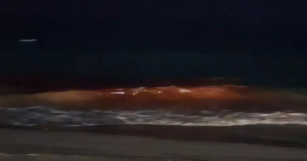 Rare Red Tide Event Witnessed Along Visakhapatnam Coast