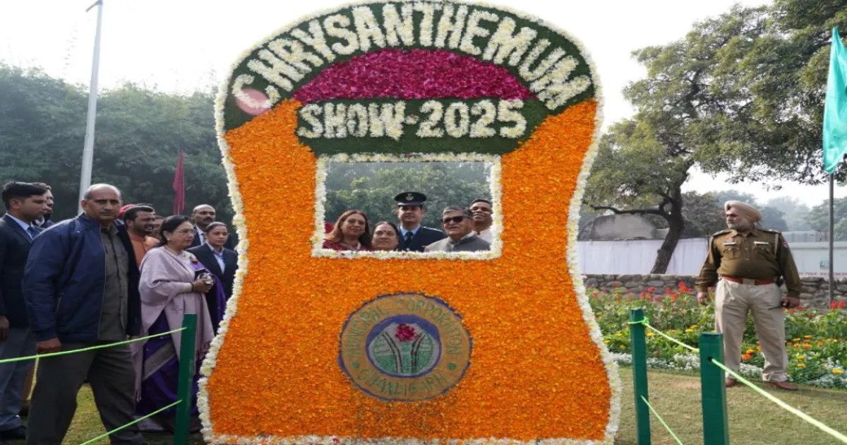 38th Chrysanthemum Show Begins at Terraced Garden, Open Till December 21