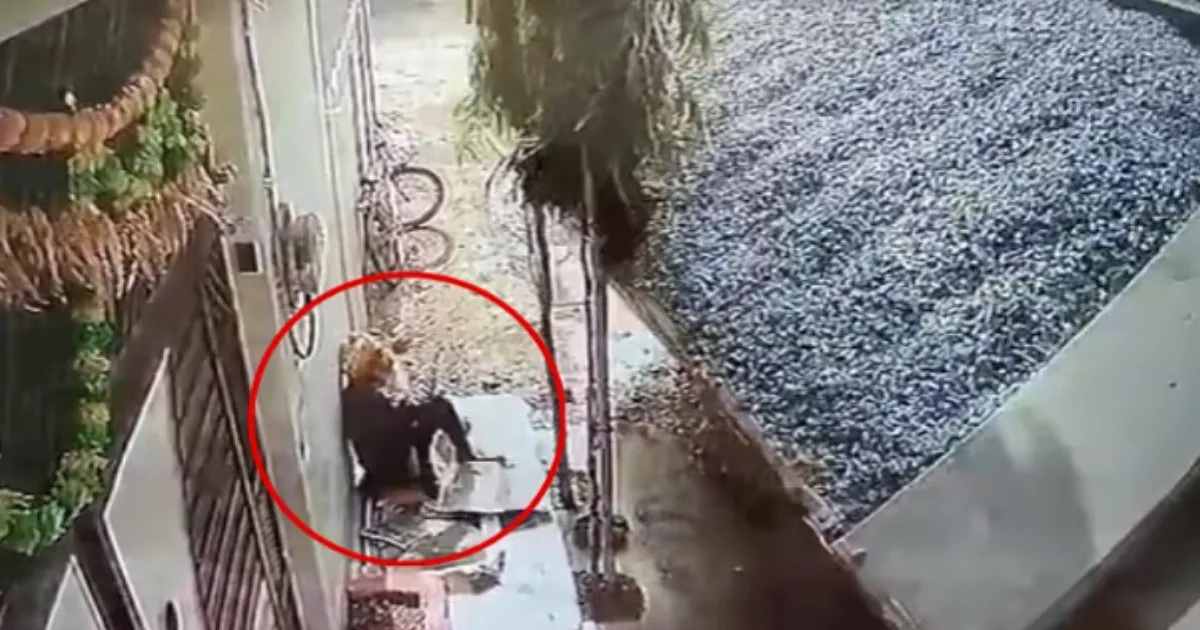 90-Year-Old Man Killed as Dump Truck Overturns Outside Home in Gwalior