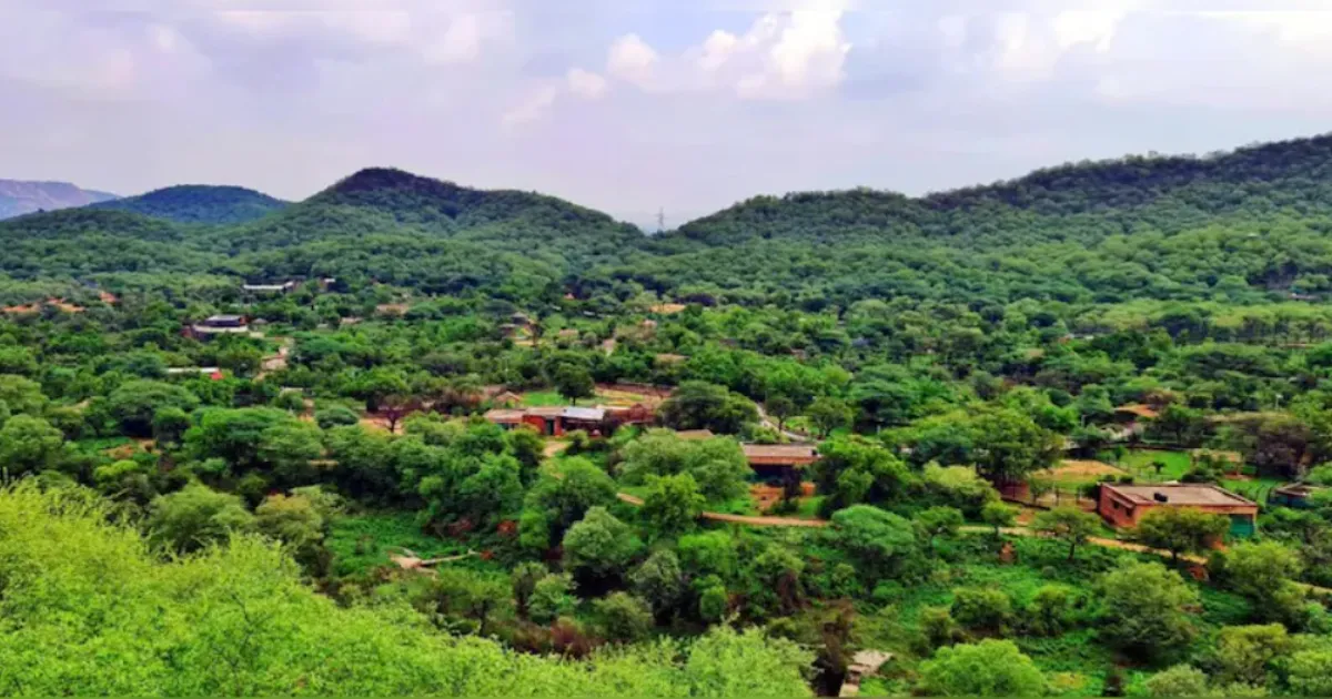 Activist Urges Supreme Court to Reconsider Aravalli Ruling Amid Protests