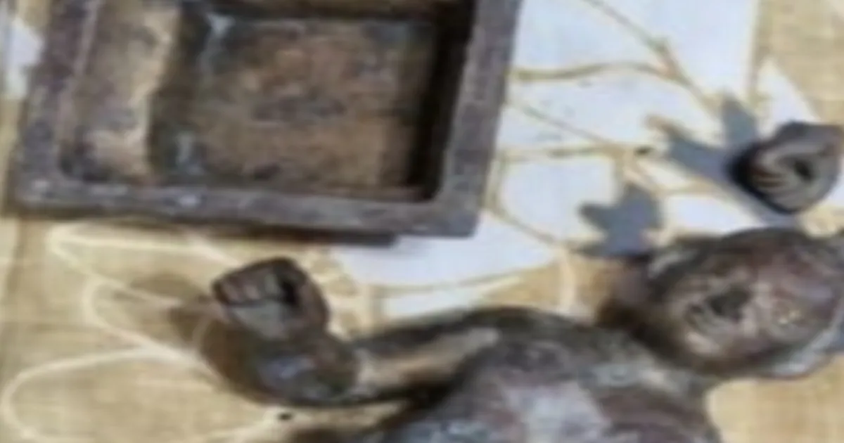 Priceless Ashtadhatu Idols of Lord Ram and Sita Unearthed From Accused’s House in Gopalganj