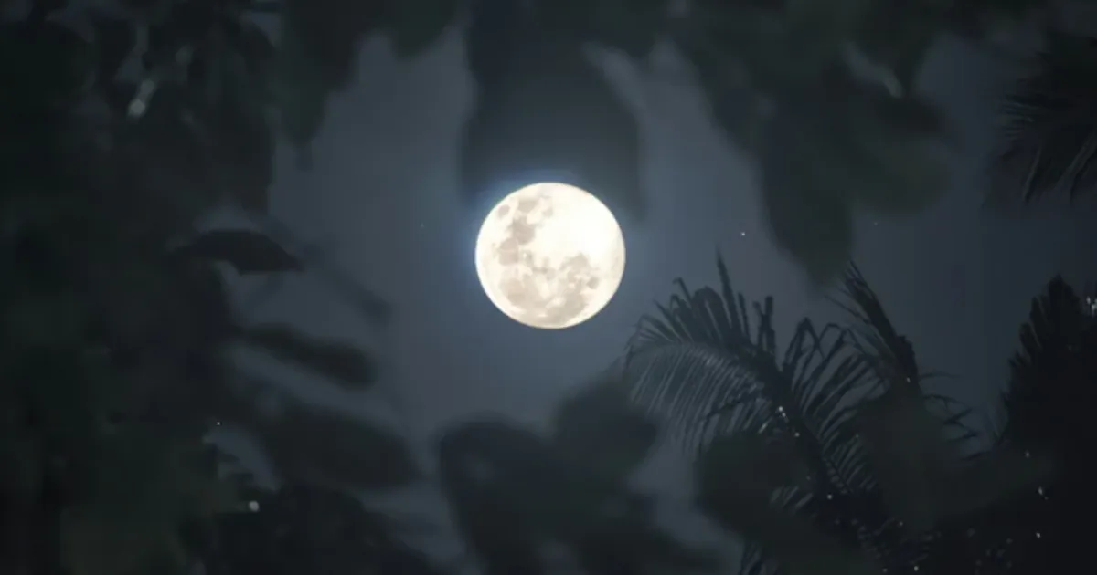 Wolf Supermoon on January 3 Marks Last Supermoon in Rare Four-Moon Streak
