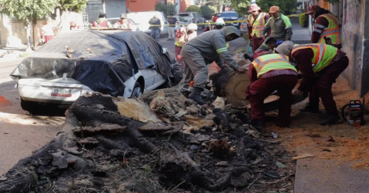 Mexico Jolted by 6.5-Magnitude Earthquake; Two Dead, Widespread Damage in Guerrero