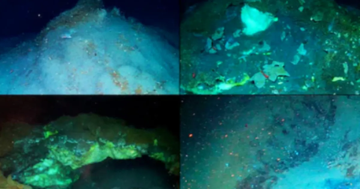 Scientists Discover Alien-Like Ecosystem Thriving Deep Beneath Arctic Ocean’s Frozen Surface