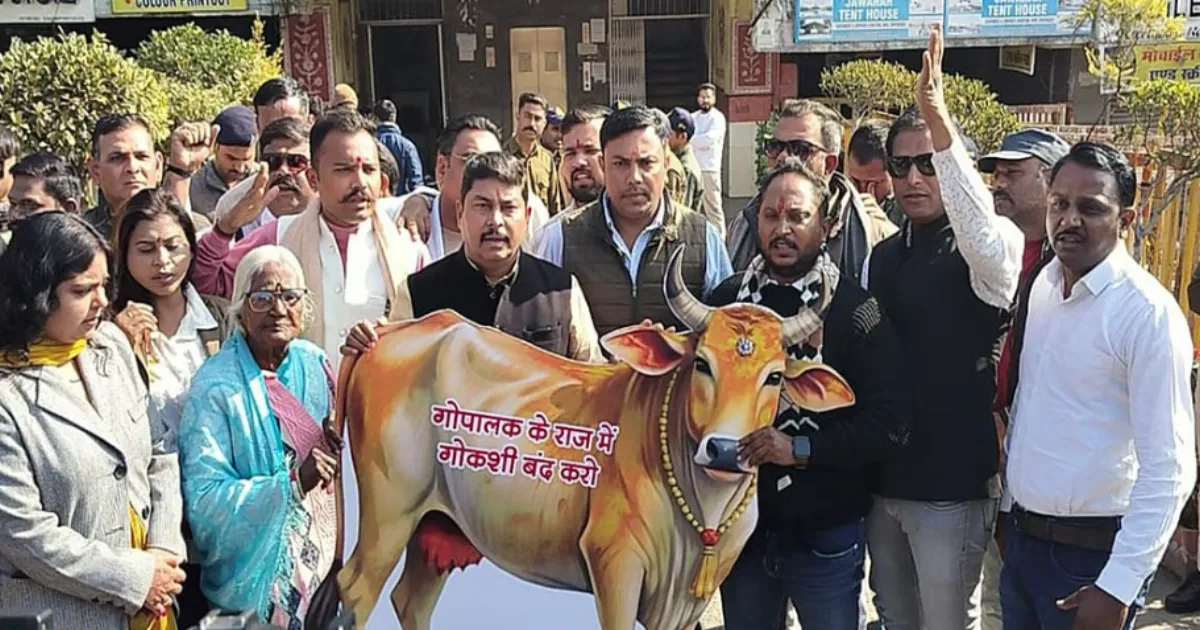 Cow Meat Found in Bhopal Slaughterhouse Erupts Protests, Probe Ordered