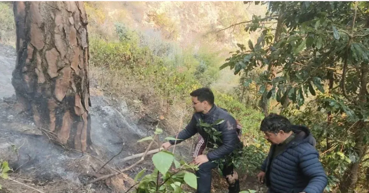 Forest Fire Burns for Six Days Near Valley of Flowers in Uttarakhand