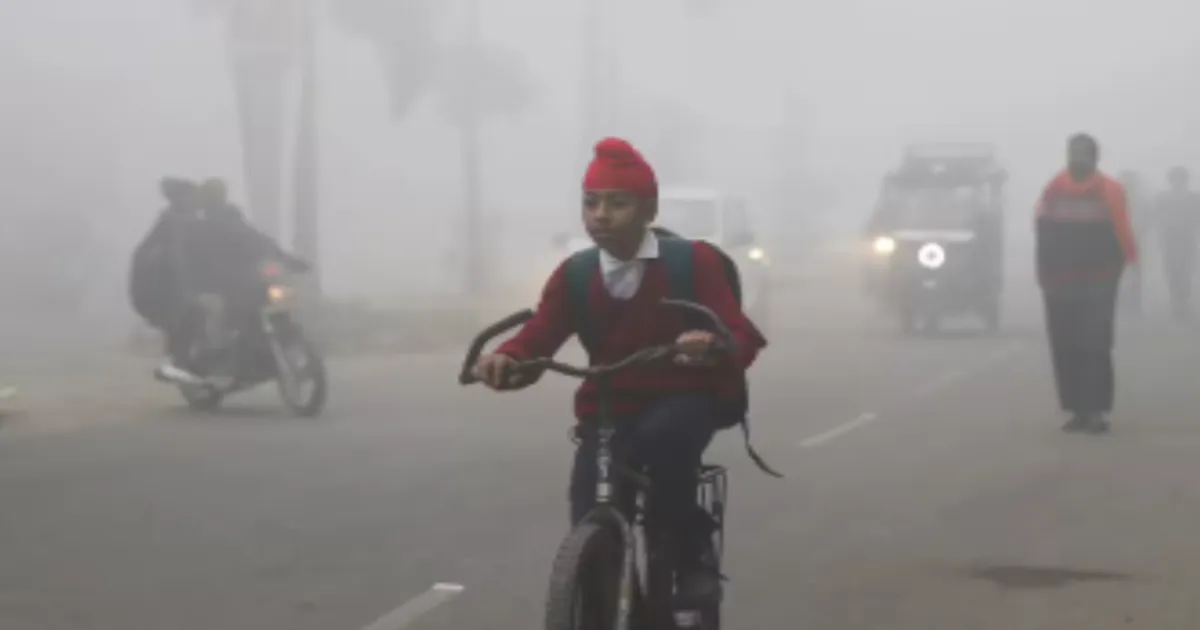 Prayagraj, Chandigarh & Delhi-NCR Schools Closed Till Jan 20 Due to Dense Fog & Low Temps