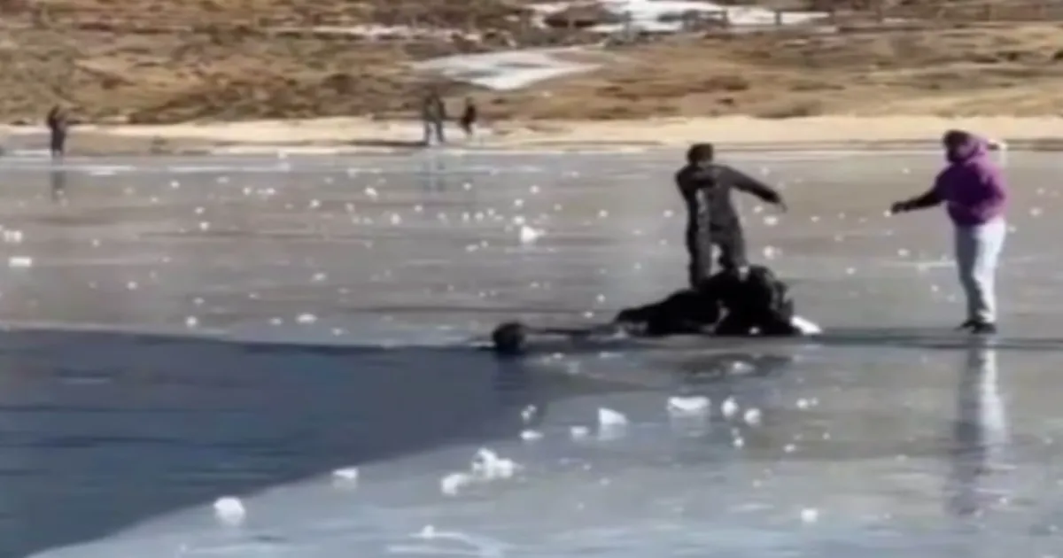 Tourist From Kerala Dies, Another Missing After Falling Into Frozen Sela Lake in Tawang