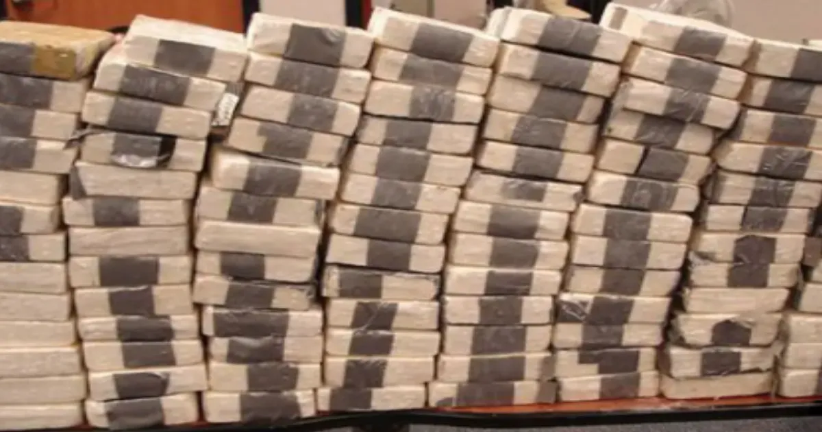 #BreakingNews: DRI Seizes Rs 55 Crore Worth Mephedrone in Satara Raid, Nabs Five Accused