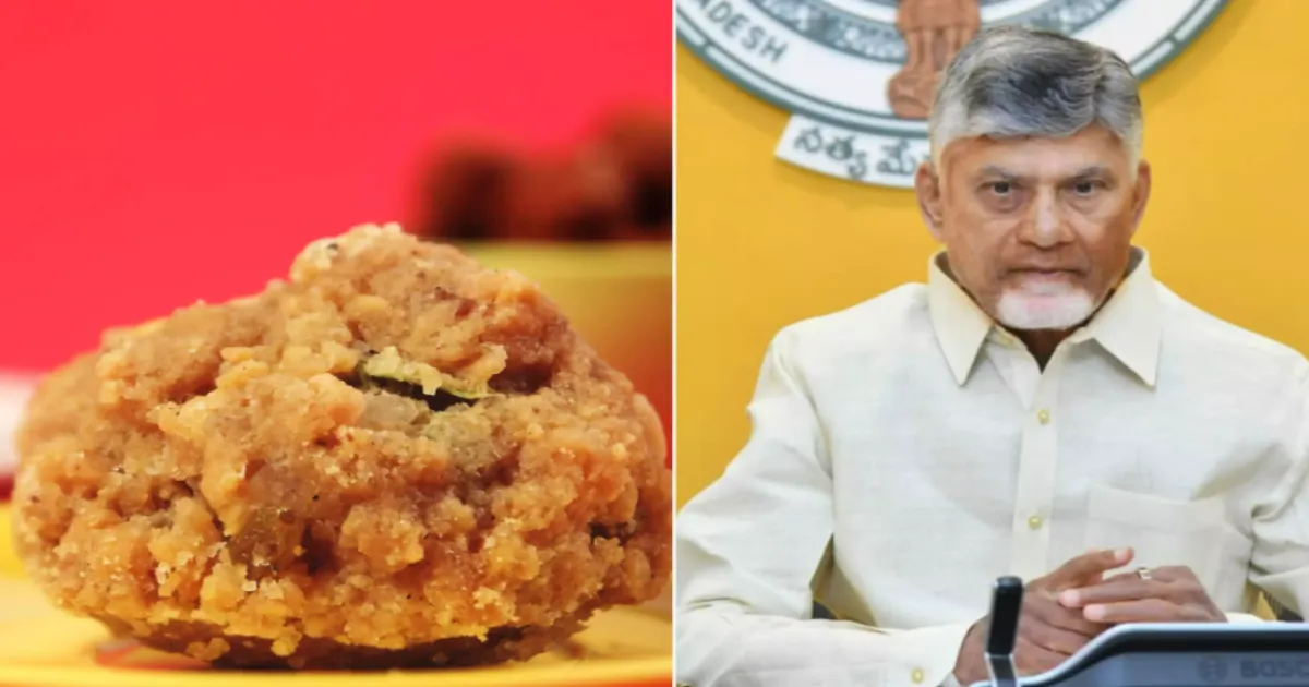 Tirupati Laddu Controversy: Naidu Blames YSRCP for Adulterated Ghee