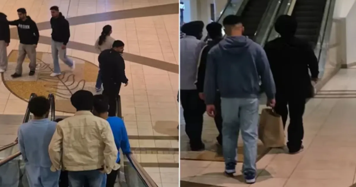 Brampton Mall Visit: Indian Man Says it Feels Just Like Delhi's Pacific Mall