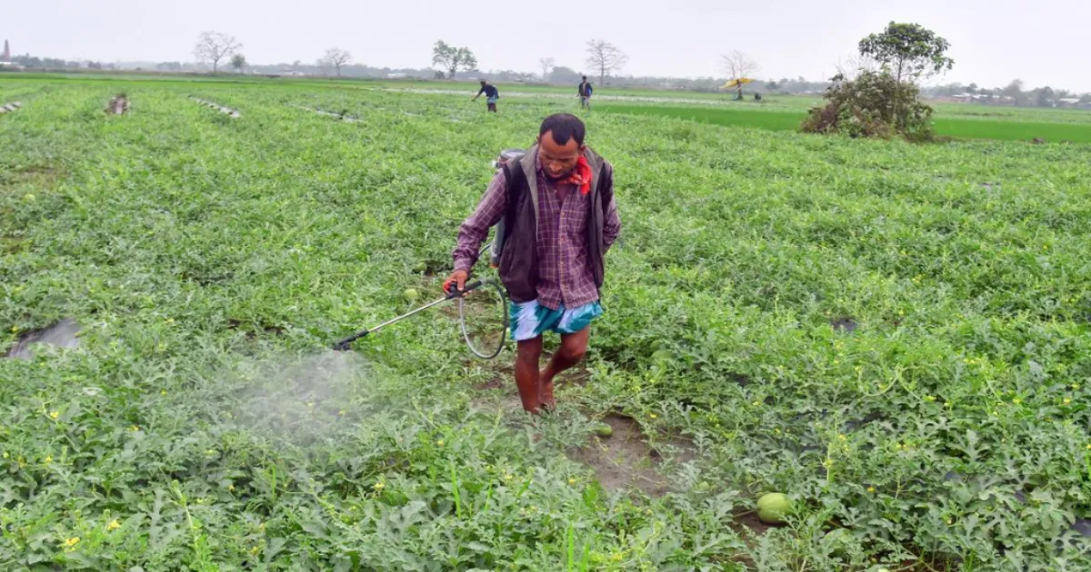 Iran War's Hidden Cost: Fertilizer Shortage Threatens Crops, Food Prices And Farmer Livelihoods Globally 