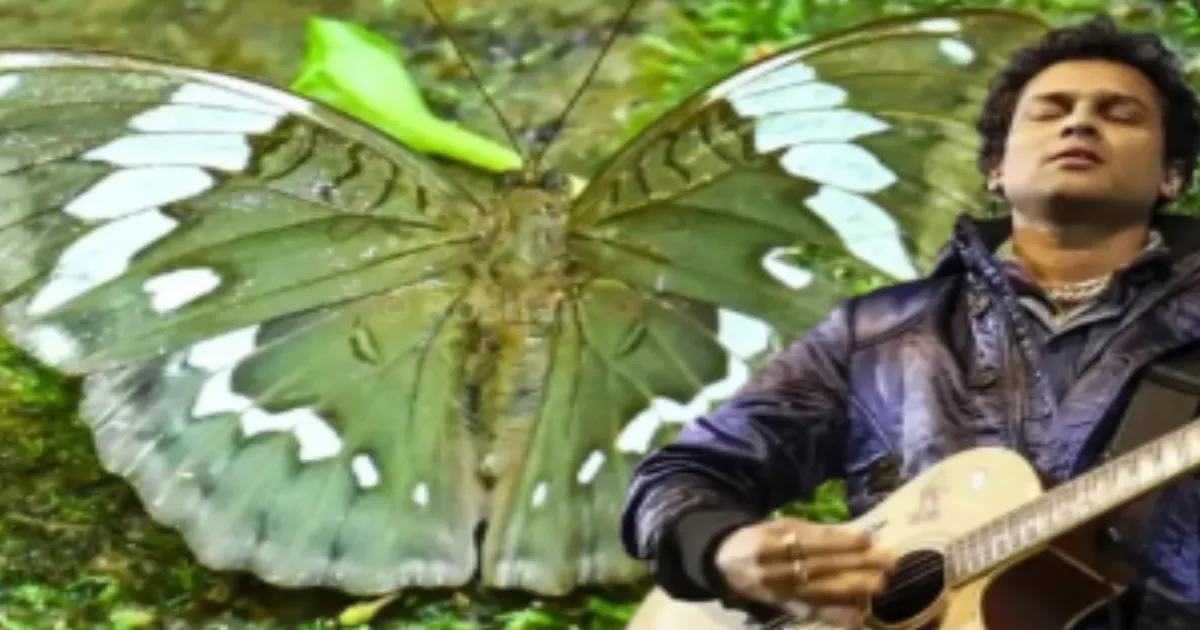  Zubeen Garg Honoured: New Butterfly Species Discovered in Arunachal Pradesh Named After Legend