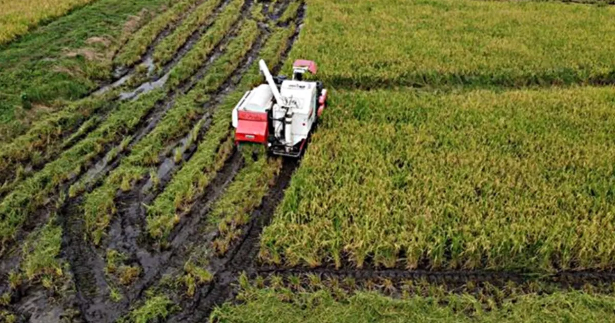Punjab Takes Lead in Farm Innovation with Central Pivot Irrigation Rollout