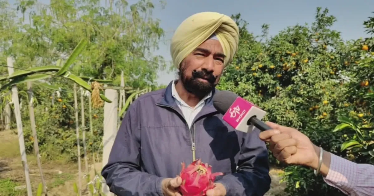 Sukhpal Singh Bhullar's Multi-Crop Innovation Generates Rs 12 Lakh Per Acre in Bathinda Farm