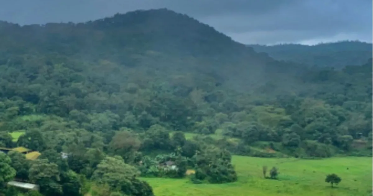 Kodagu Homestay Owner Arrested for Withholding Information in US Tourist Sexual Assault Case