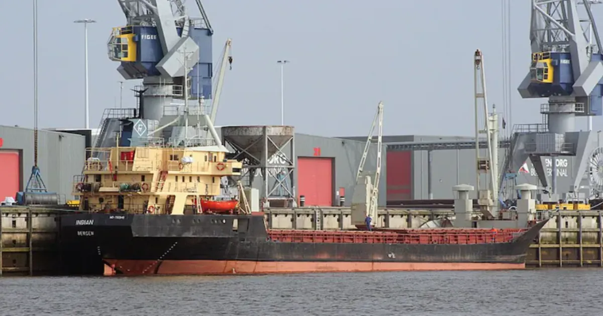 DFS Secretary Announces Full Insurance Cover for West Asia-Bound Indian Cargo With $100M Pool