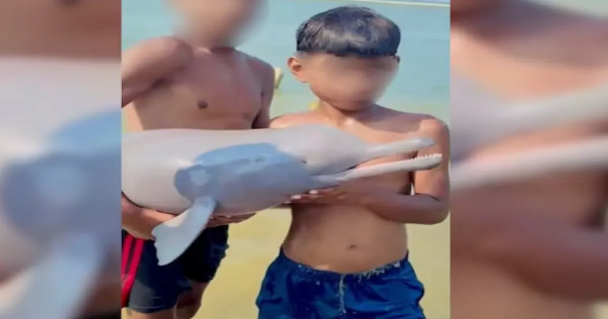 Children Playing With Stranded Gangetic Dolphin in Bihar Sparks Wildlife Conservation Outrage