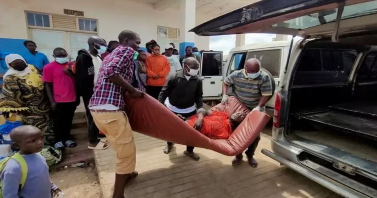 Ebola Crisis Deepens: DR Congo Reports 120 Deaths as WHO Mobilizes Response