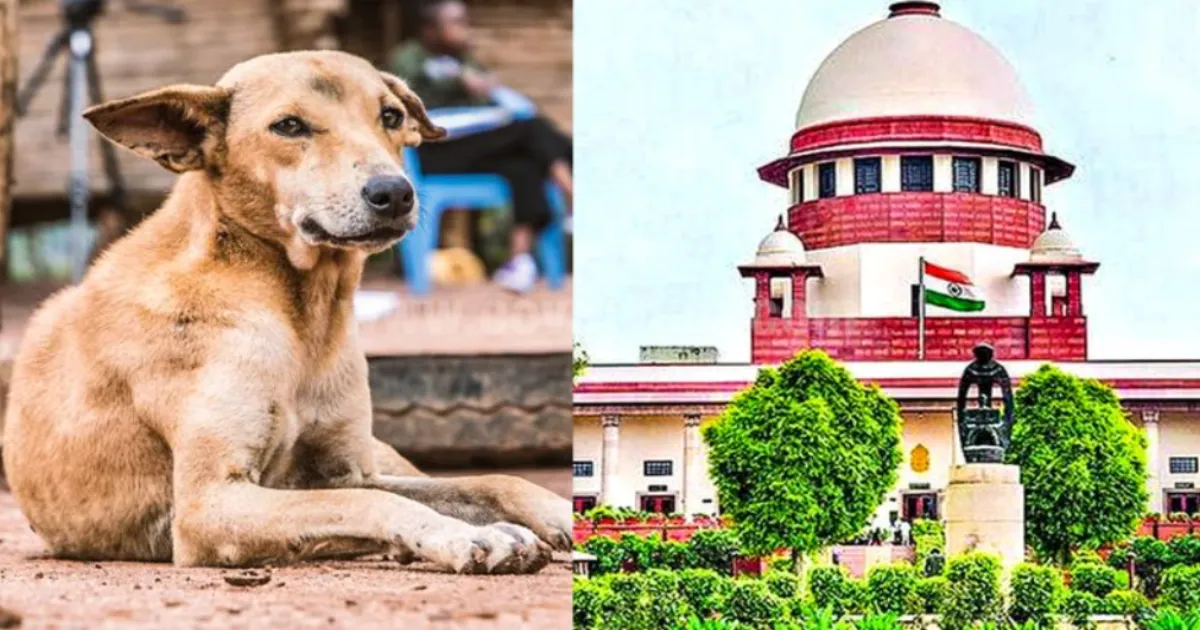 Supreme Court Upholds Stray Dog Removal Order; Dismisses Activist Petitions Over Safety Concerns