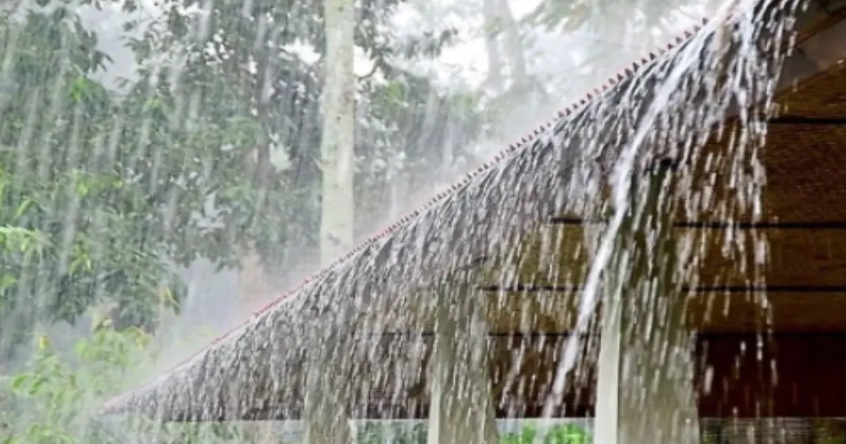  IMD Forecasts Heavy Showers and Gusty Winds Across Karnataka This Week