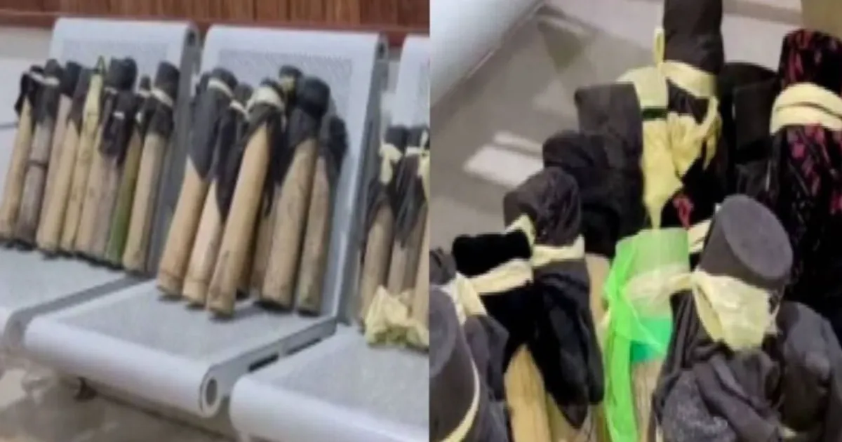 Guwahati Police Bust Reptile Smuggling Operation; 26 Geckos Freed, 2 Arrested
