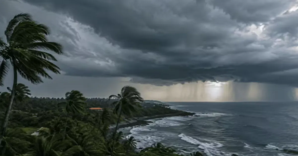 IMD Issues Orange Alert for Kerala Wayanad; Heatwave Warnings for Delhi, Haryana and Punjab