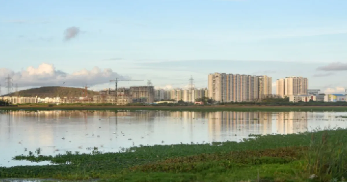 Tamil Nadu Revokes Environmental Clearance for Brigade's Rs 2,000-Crore Chennai Housing Project