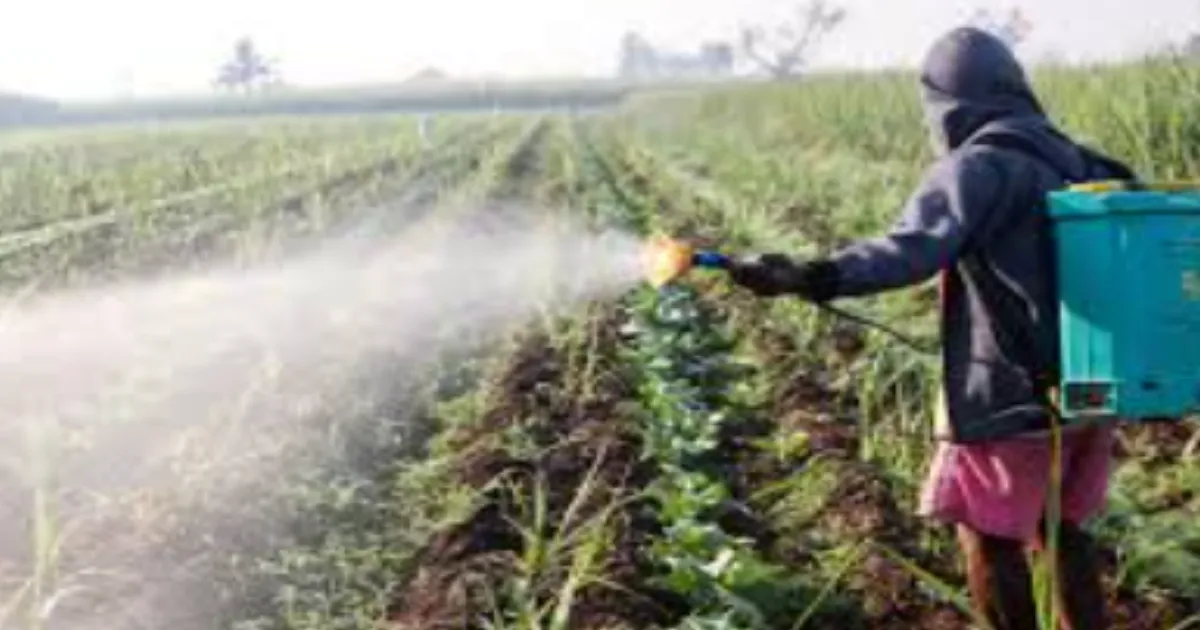 Doctors Demand Complete Ban on Paraquat Herbicide as Poisoning Cases Rise in India