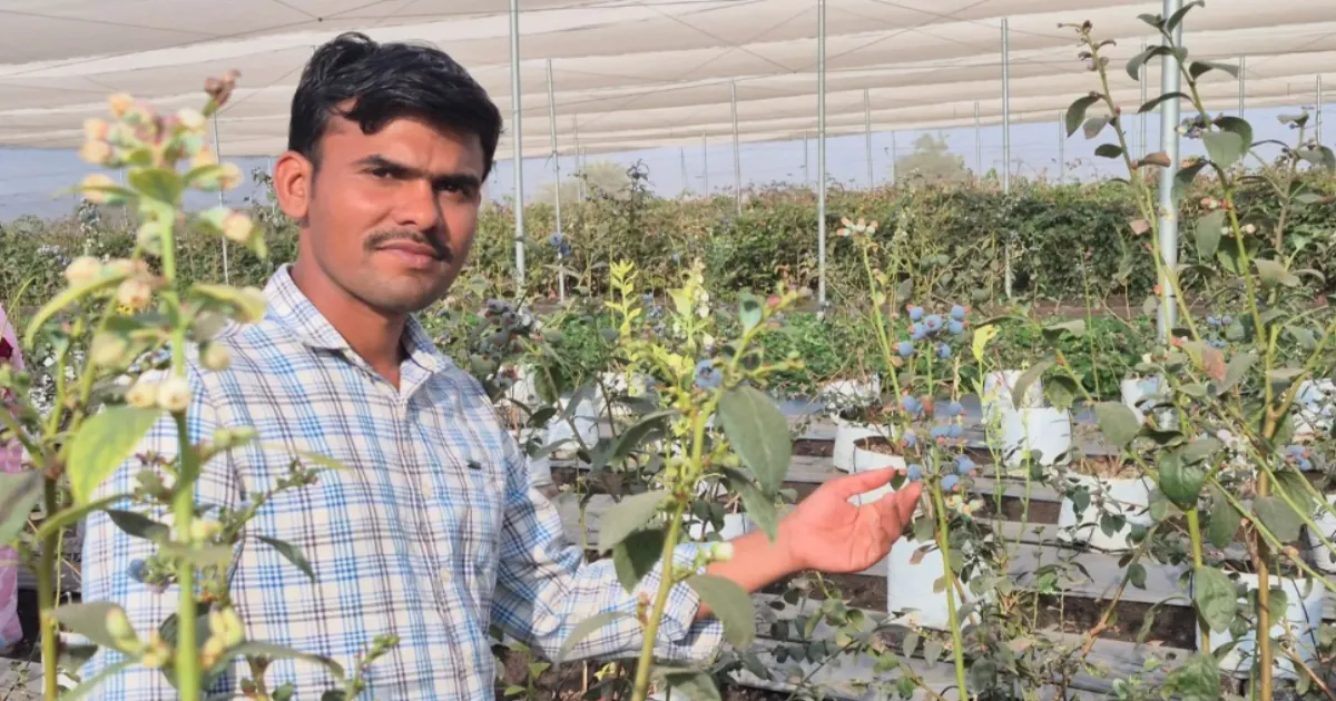 Sanket Shinde Proved That Government Job Dreams Aren't The Only Path Forward