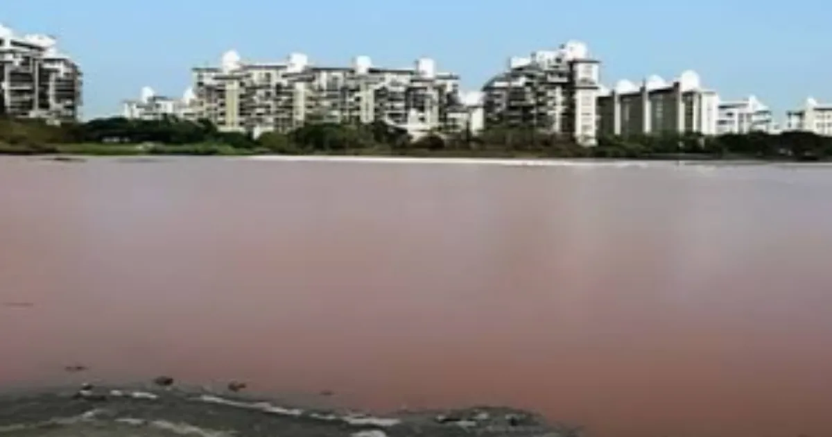 Mumbai Gets Heavy Rains But Lakes Stay Critically Low at 8% Capacity