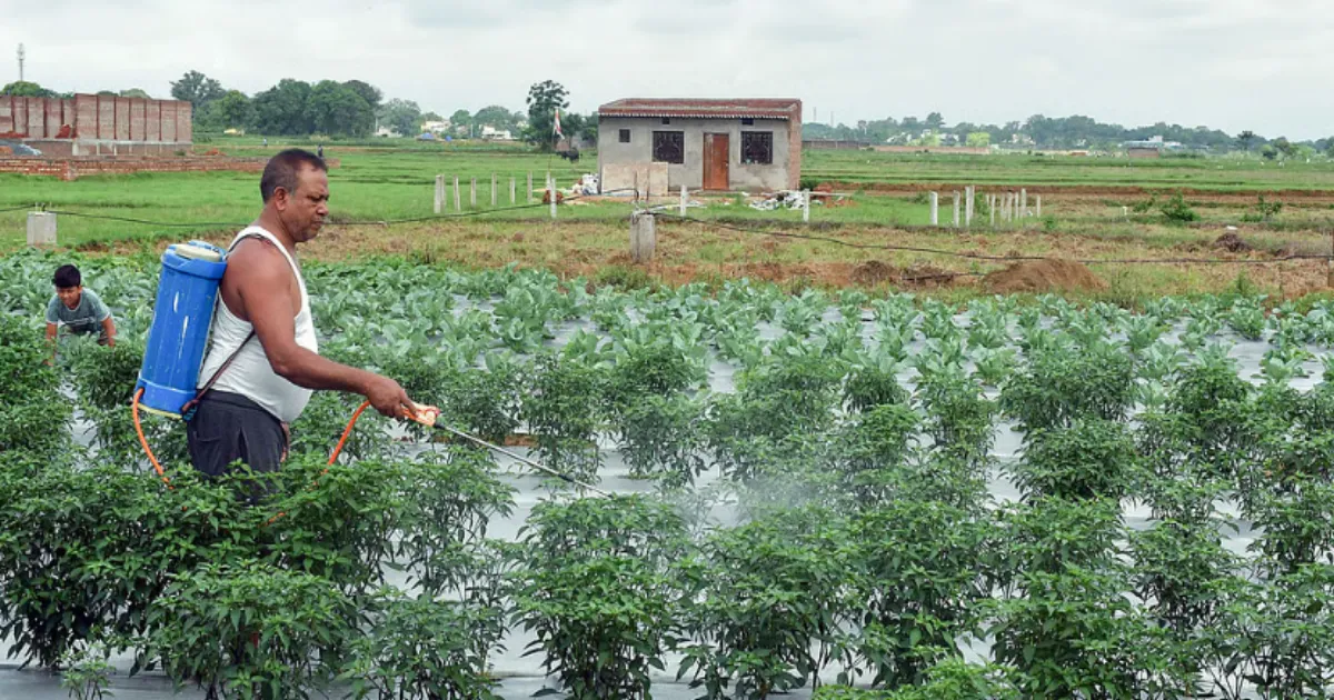 Weak Monsoon Forecast Poses Inflation Risk to India's $300 Billion Farm Economy