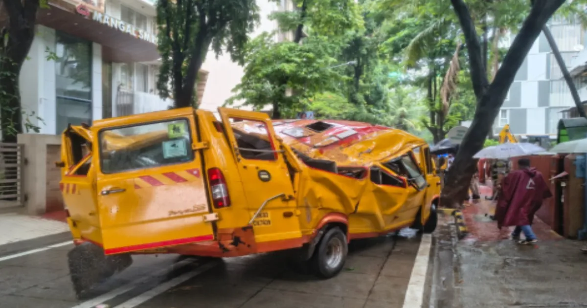#JUSTIN: BMC Inspection Finds Weakened Core Roots in Tree That Killed Schoolboy
