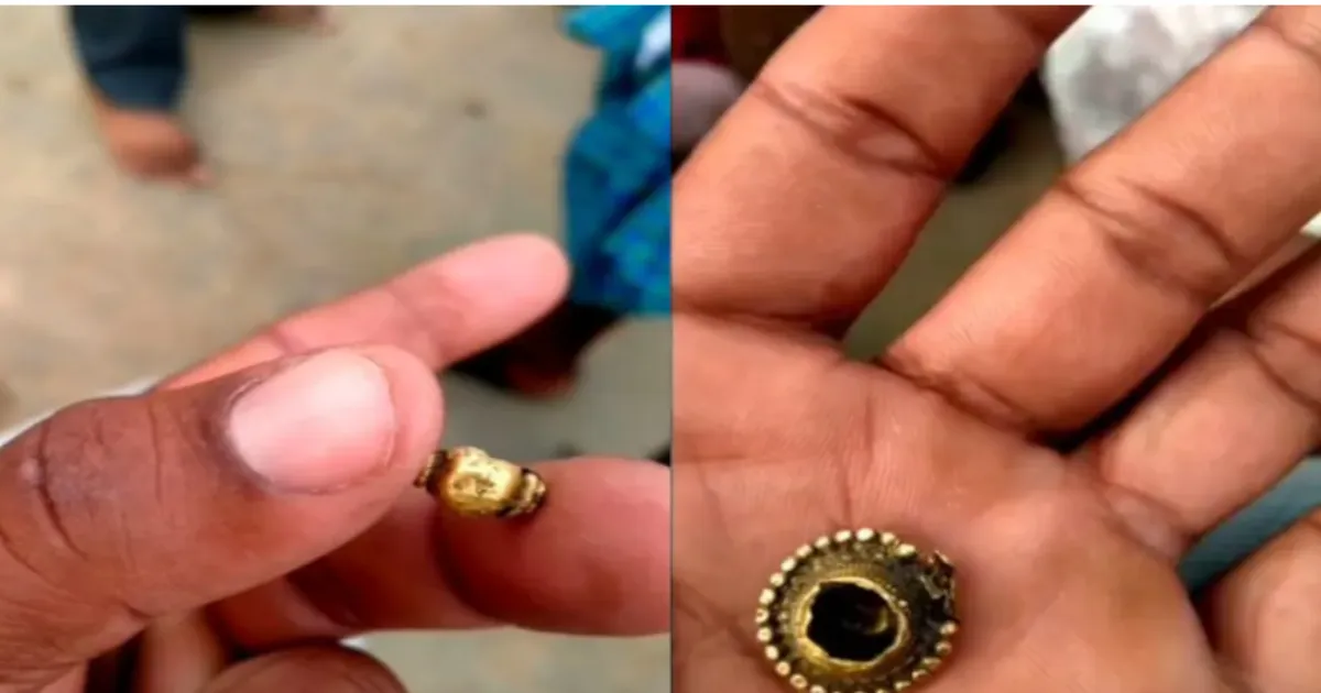 Former Landowner's Son Claims Share in Gold Found in Warangal