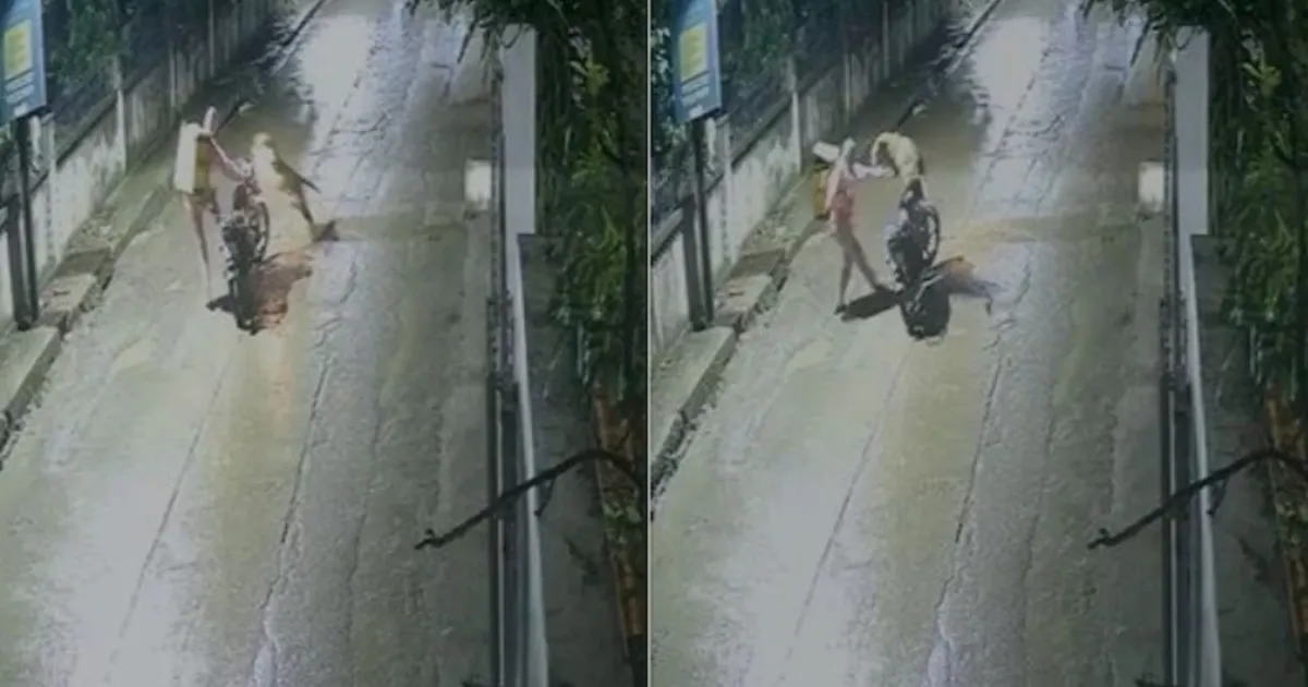 Leopard Attacks Delivery Agent in Indore, Search Operation Underway