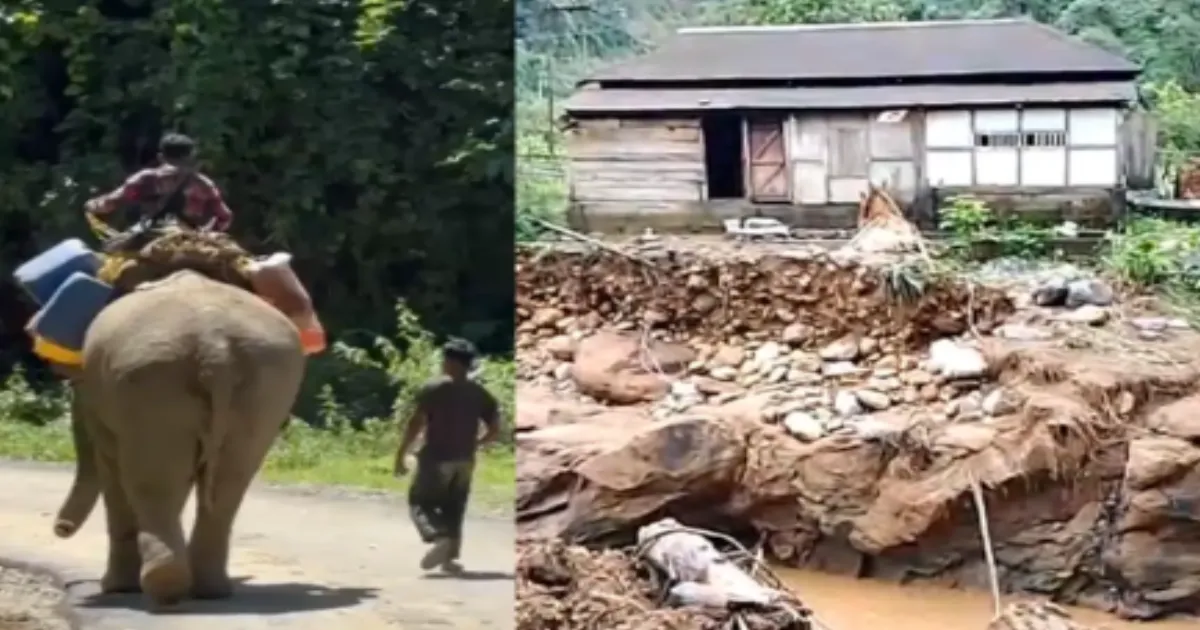 Elephants Become Lifeline For Flood-Cut-Off Villages In Arunachal Pradesh 