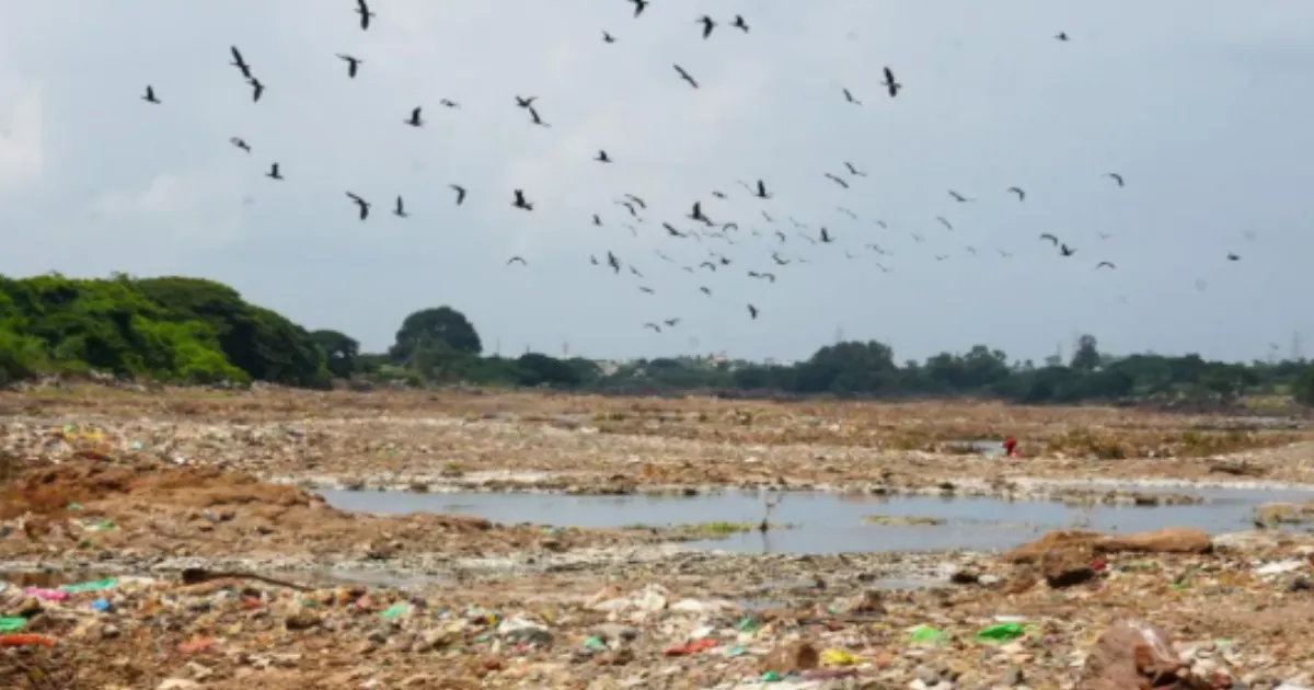 MIT-ADT Students Force End to Garbage Dumping on Mula-Mutha Riverbank in Pune