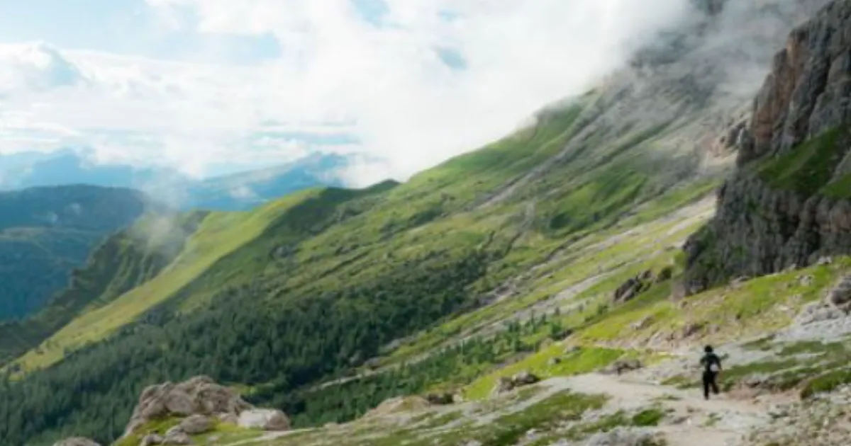 New Wolf Trail Spans 3,494 Km From Poland to Italy