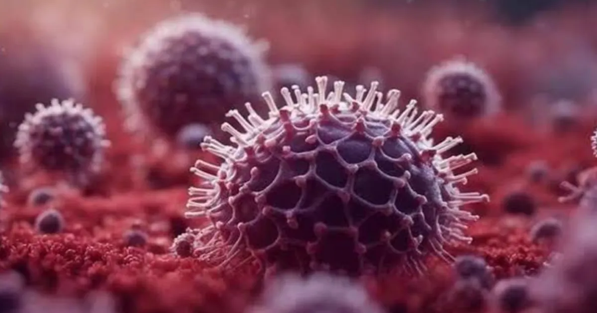 Centre Steps Up Response as Chandipura Virus Threatens Two States