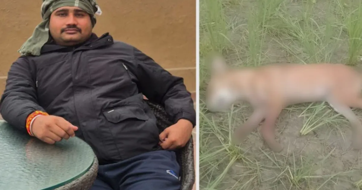 Aligarh Man Shoots Dog, Opens Fire on Neighbour Who Objected, Police Launch Manhunt