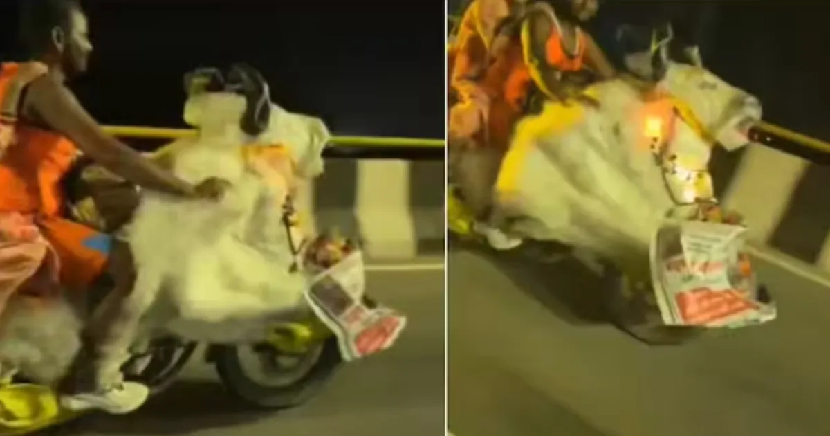 Kanwariyas' Nandi-Themed Bike Goes Viral, Netizens Call it Unmatched
