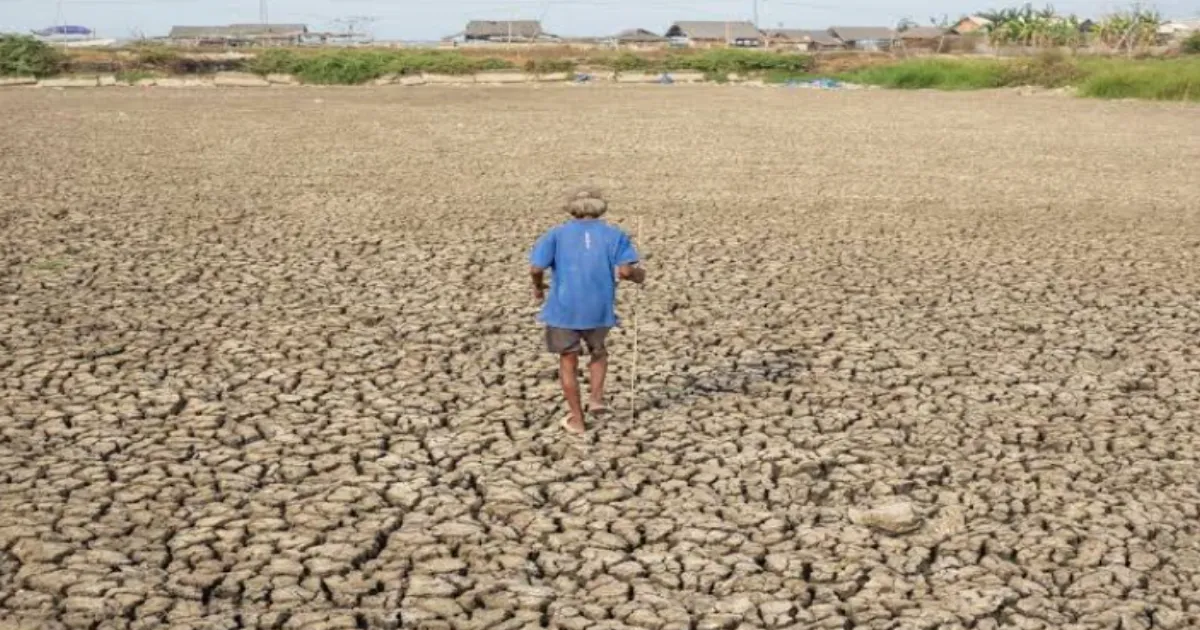 El Nino Set to Become One of Strongest on Record, Experts Warn