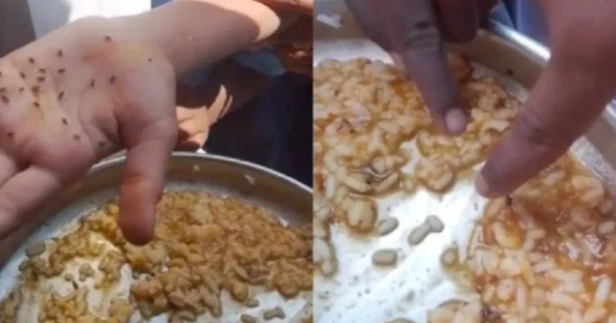 Bihar Education Dept Orders Probe After Worms Found in Midday Meals