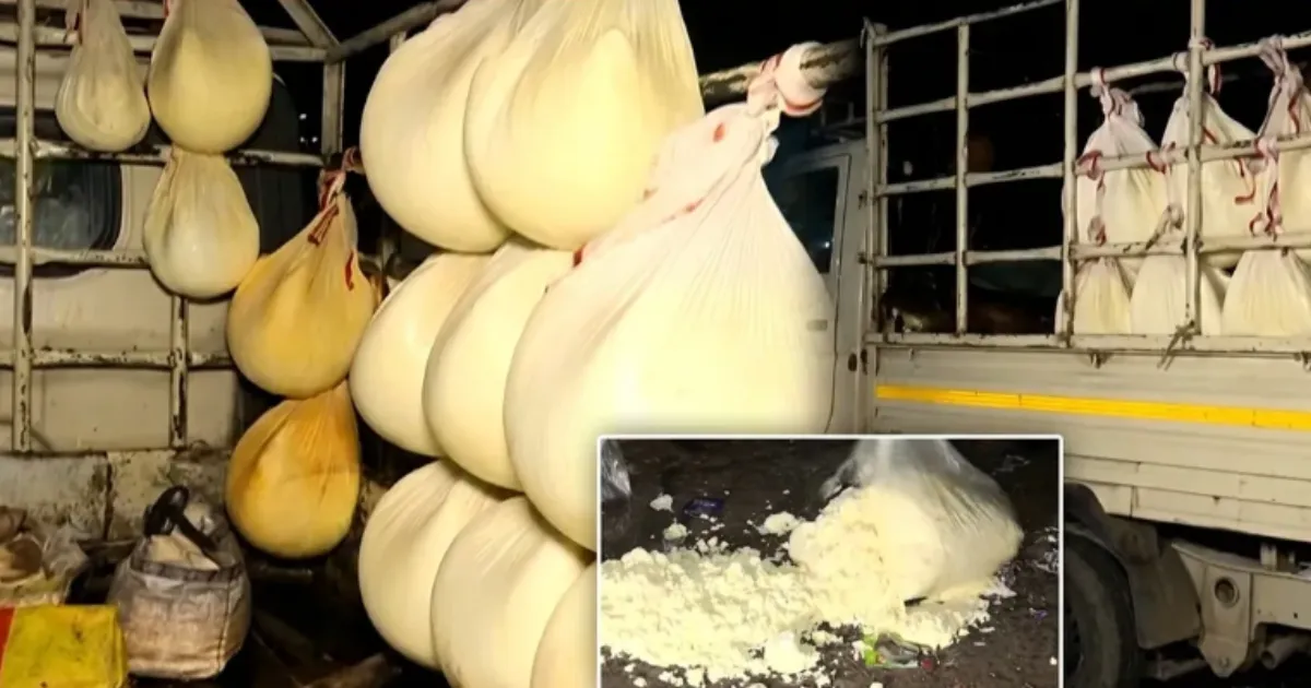 70 Quintals of Suspected Adulterated Paneer Seized in Cuttack