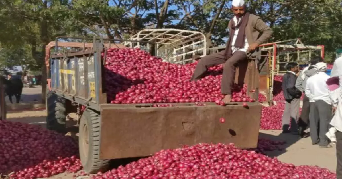 Onion Prices Rise: Govt Boosts Supply to Delhi, Chennai, Kochi, Others