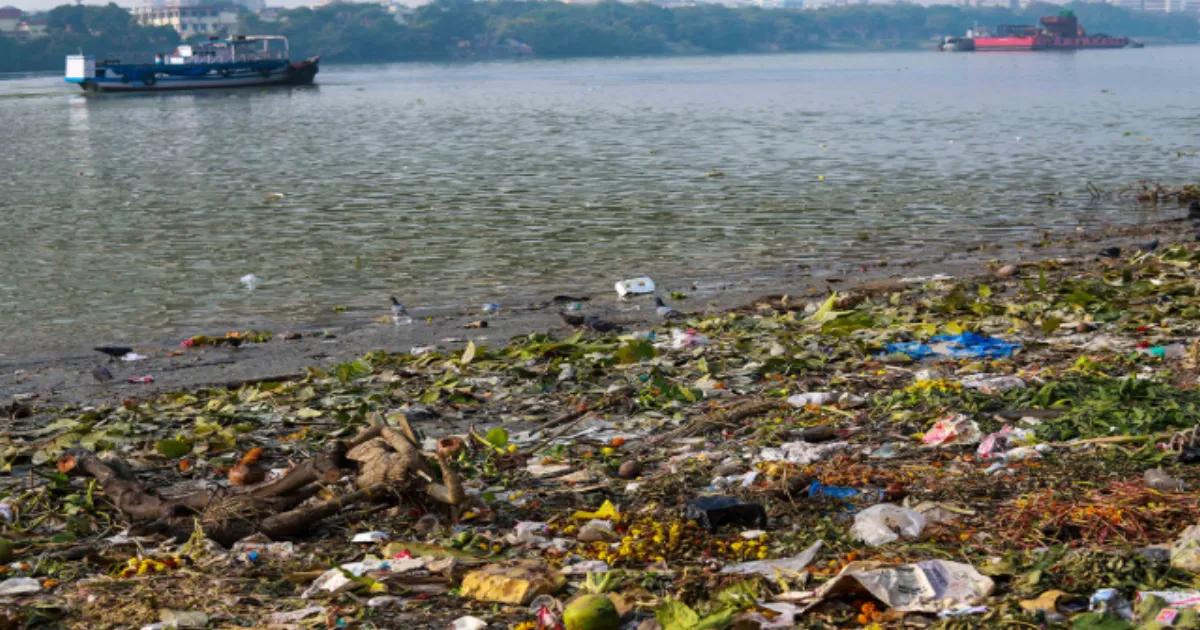 Plastic Waste From Storm Drains Pollutes Puducherry's River, Backwaters
