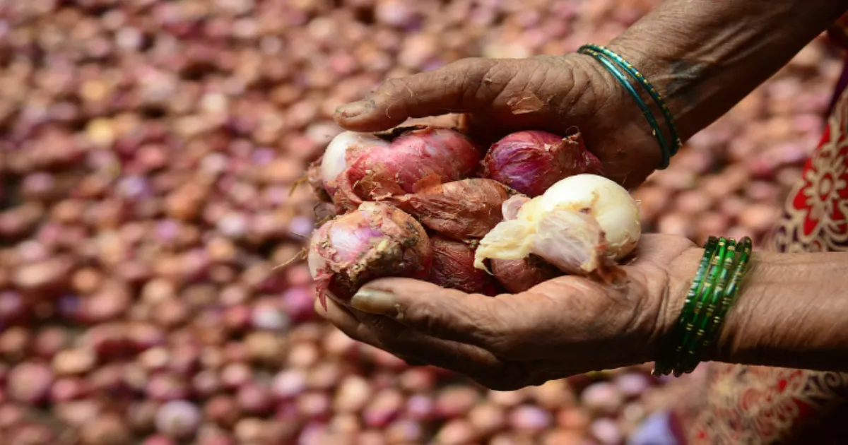 Government Sells 4,000 Tonnes Buffer Onions to Control Rising Prices