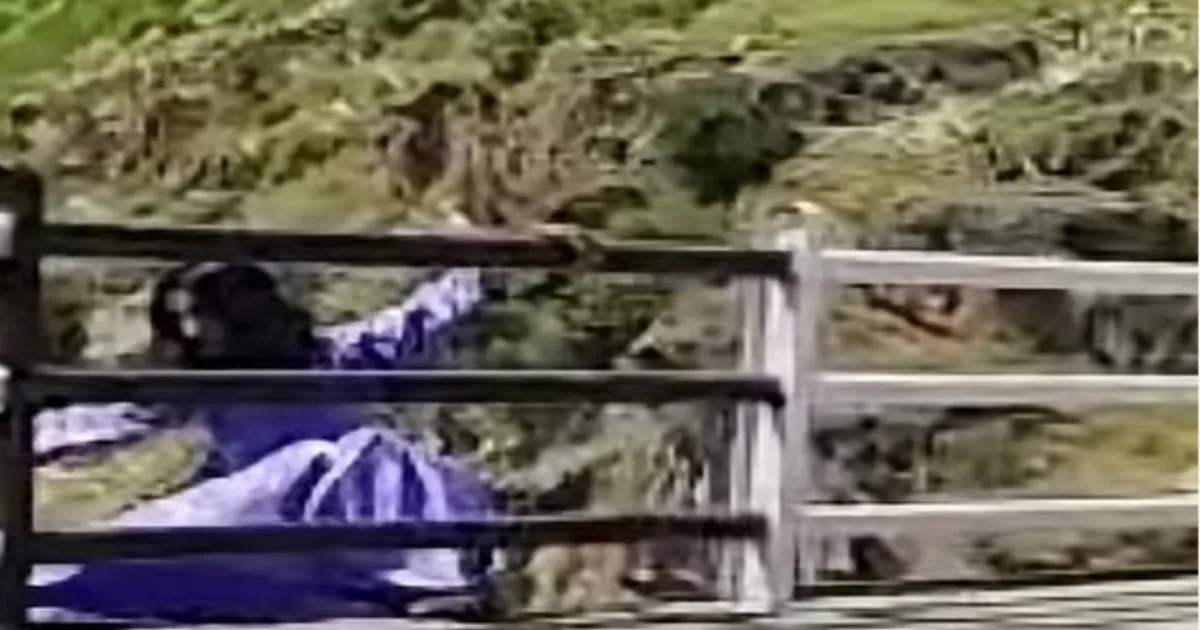 Doda Woman Jumps into Chenab River, Search Operation Underway